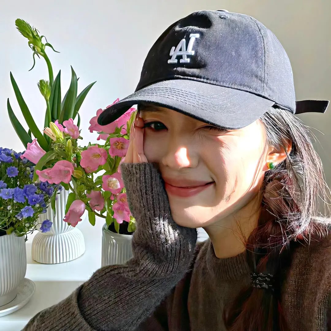 欢迎来到丛林